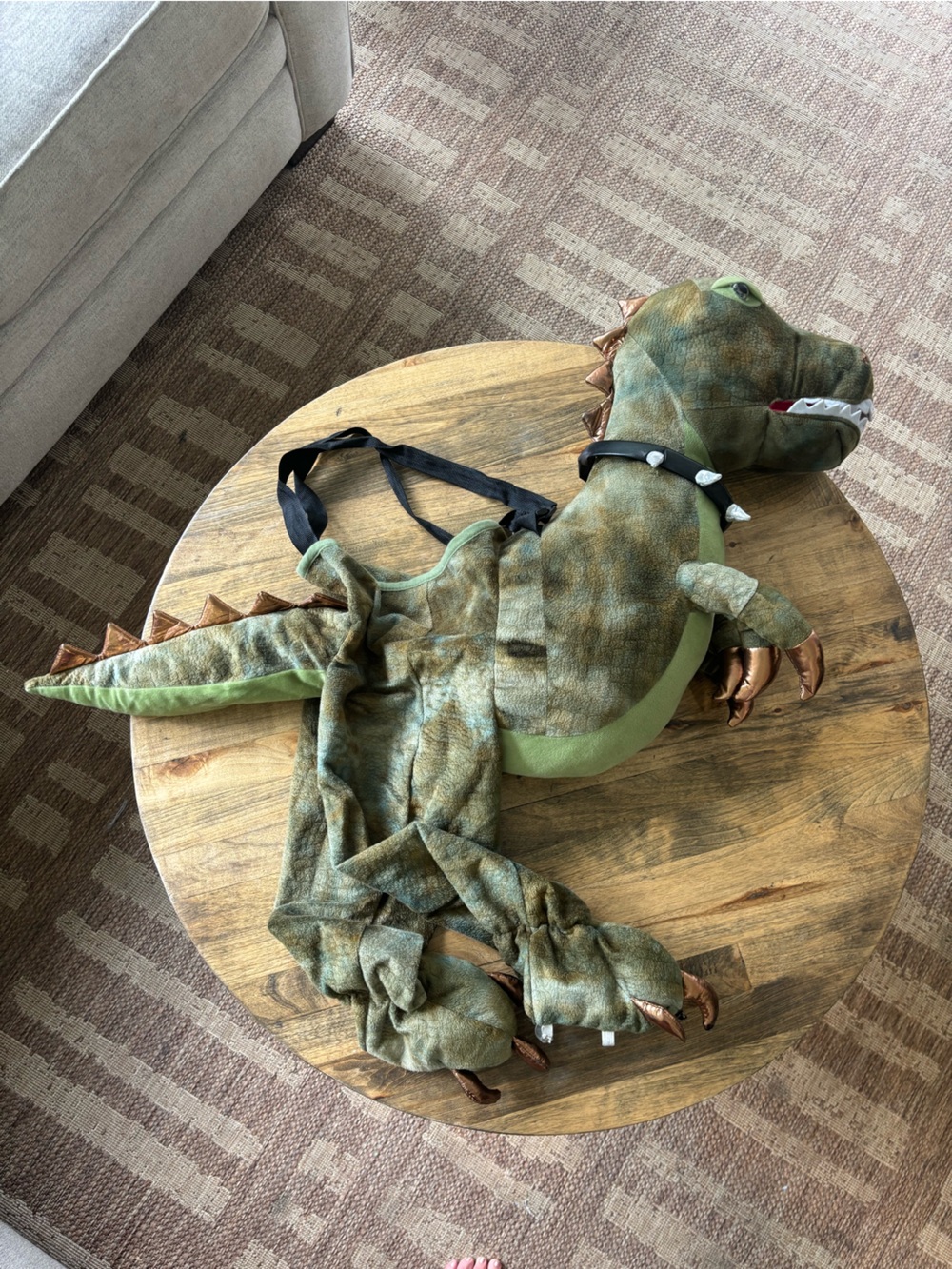 Ministry of Rascals Kids Dinosaur Halloween Costume